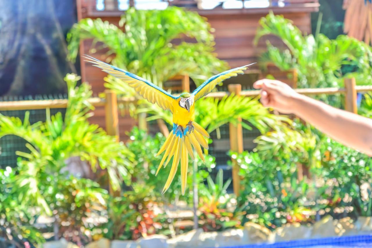 Pousada Sol E Mar Maragogi Ngoại thất bức ảnh